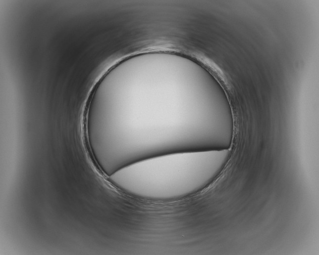 X0000116451423200912081404