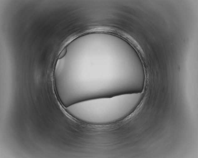 X0000116451425200912081404