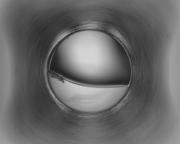 X0000116451426200912081404