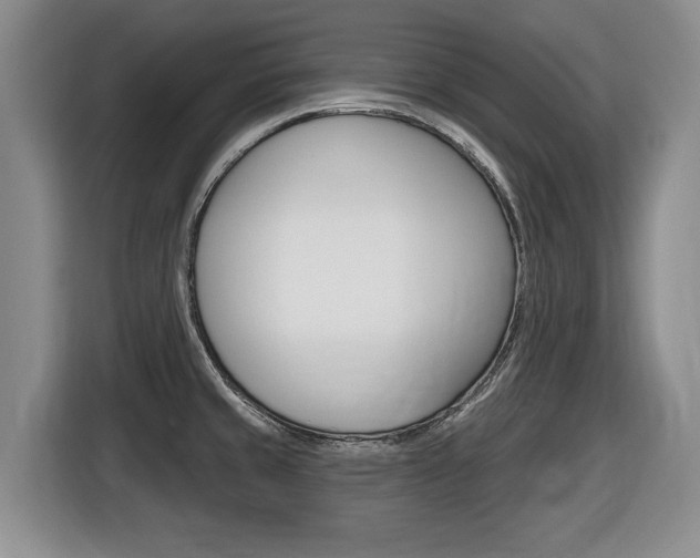 X0000116451429200912081404