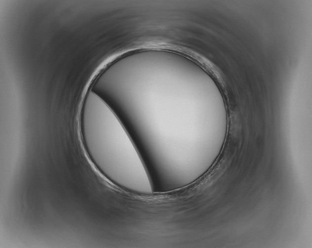 X0000116451432200912081404