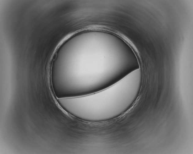 X0000116451437200912081404