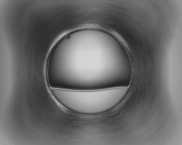 X0000116451438200912081404