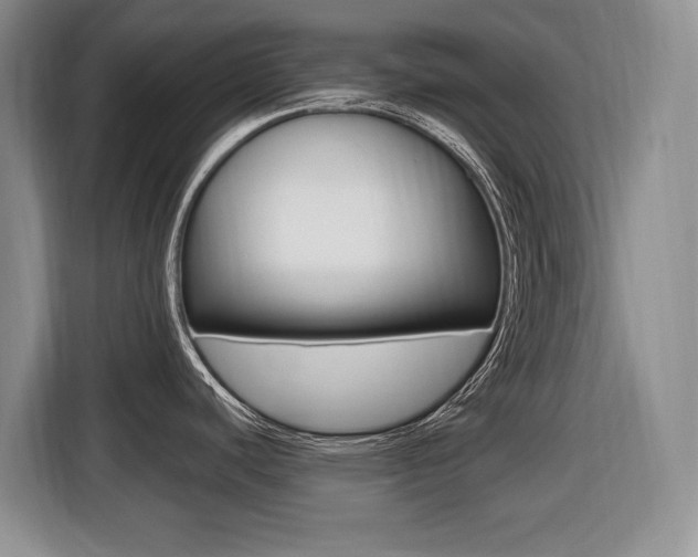 X0000116451440200912081404