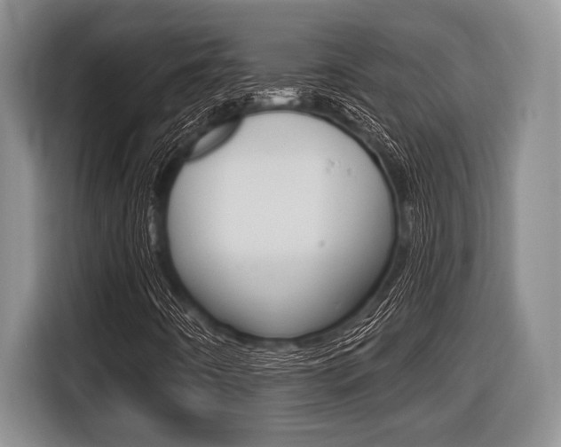 X0000116451442200912081404