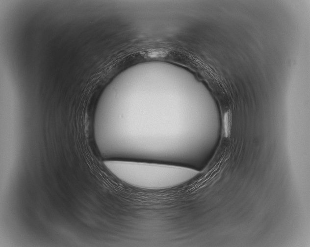 X0000116451443200912081404