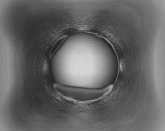 X0000116451444200912081404