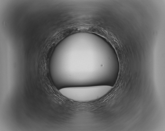 X0000116451445200912081404
