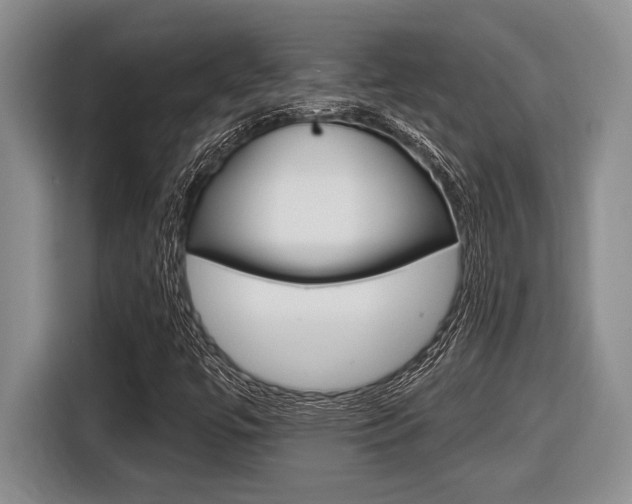 X0000116451447200912081404