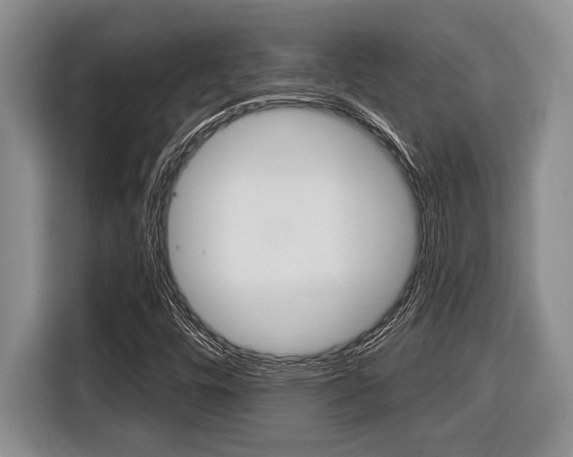 X0000116451448200912081404