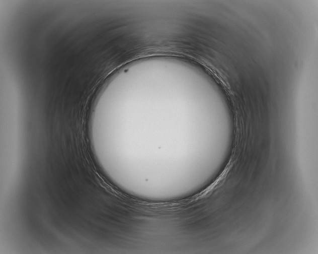 X0000116451449200912081404