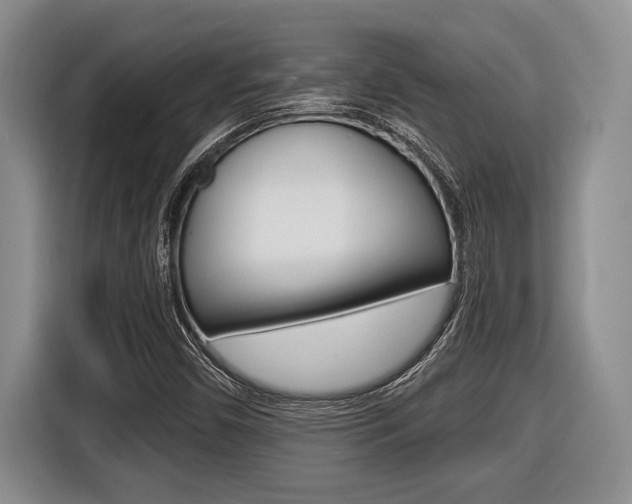 X0000116451450200912081404