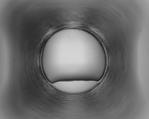 X0000116451451200912081404