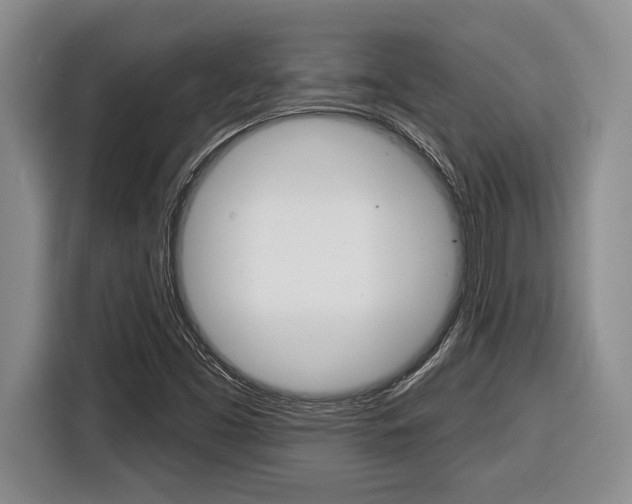 X0000116451453200912081404