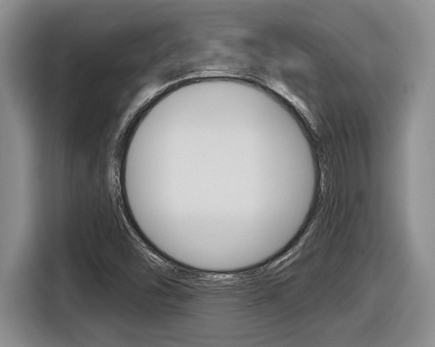 X0000116451454200912081404