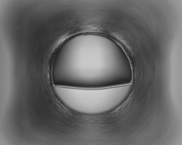X0000116451455200912081404