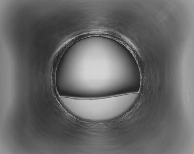 X0000116451456200912081404