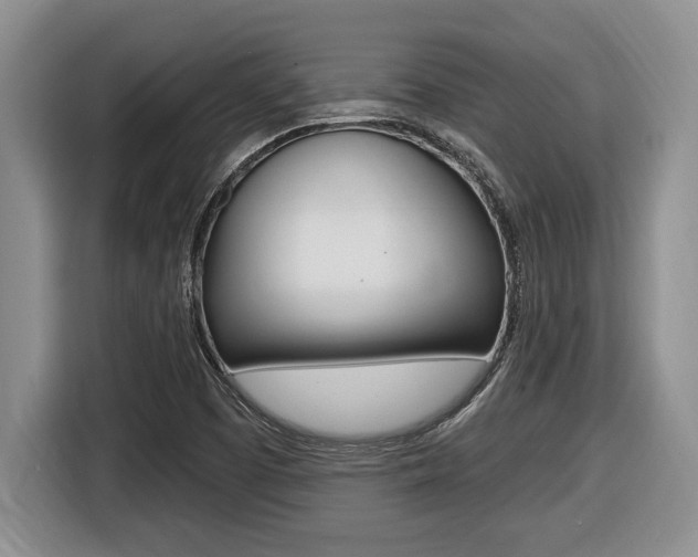 X0000116451457200912081404