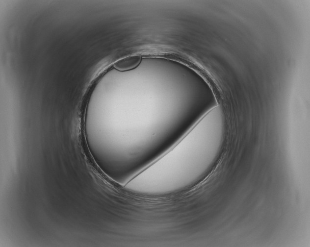 X0000116451459200912081404