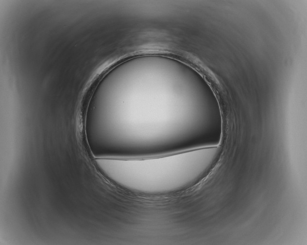 X0000116451461200912081403