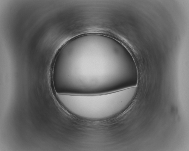 X0000116451463200912081403
