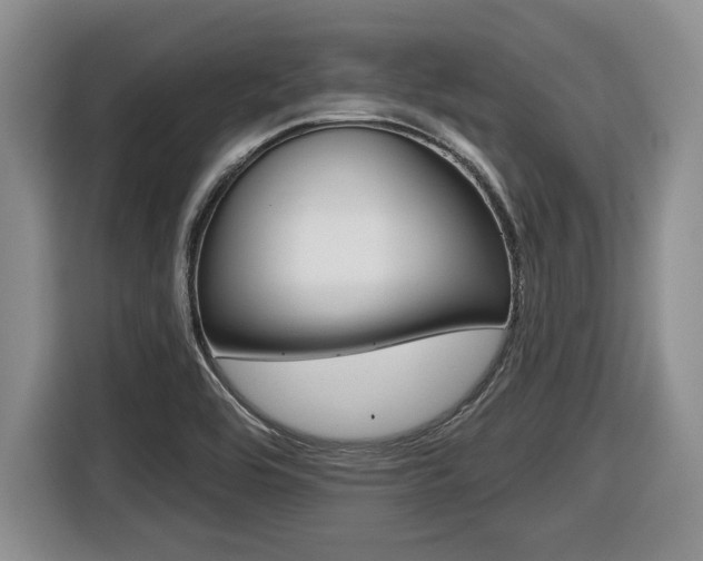 X0000116451464200912081403