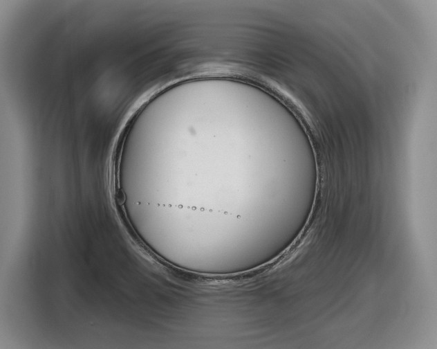 X0000116451467200912081403