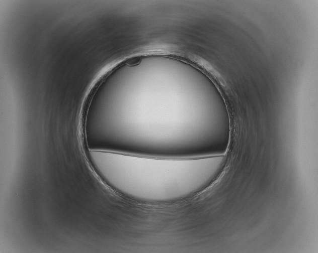 X0000116451469200912081403