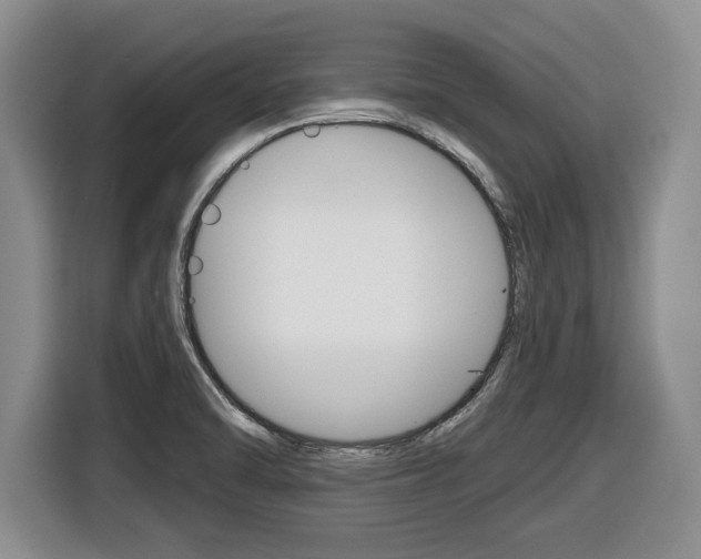X0000116451470200912081403