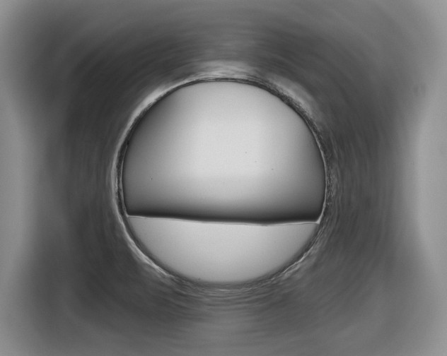 X0000116451471200912081403
