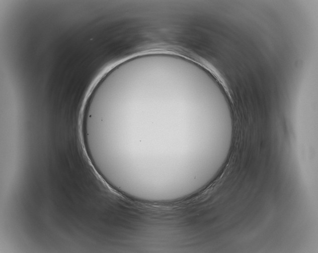 X0000116451472200912081403