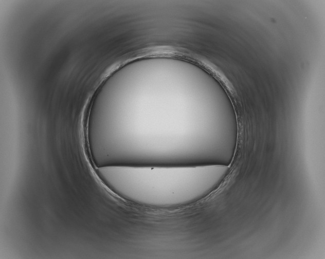 X0000116451475200912081403