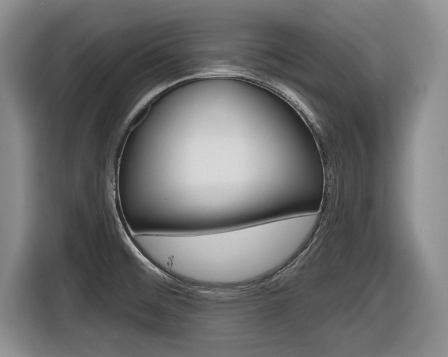 X0000116451476200912081403