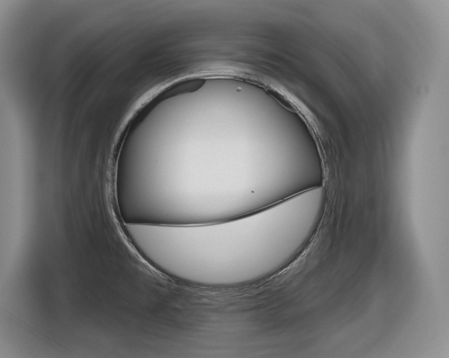 X0000116451477200912081403