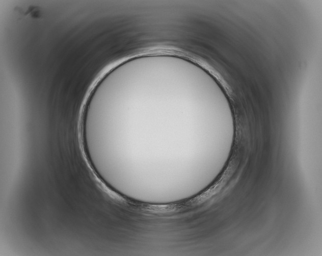 X0000116451478200912081403