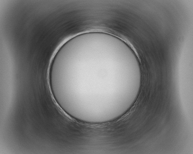 X0000116451480200912081403
