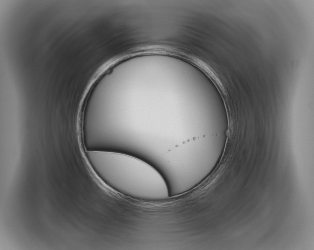 X0000116451482200912081403