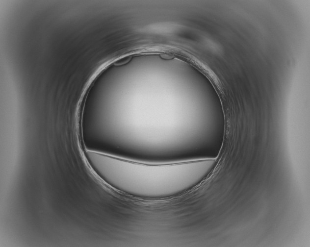 X0000116451483200912081403