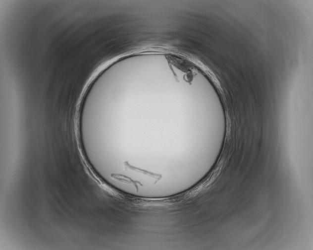 X0000116451486200912081403