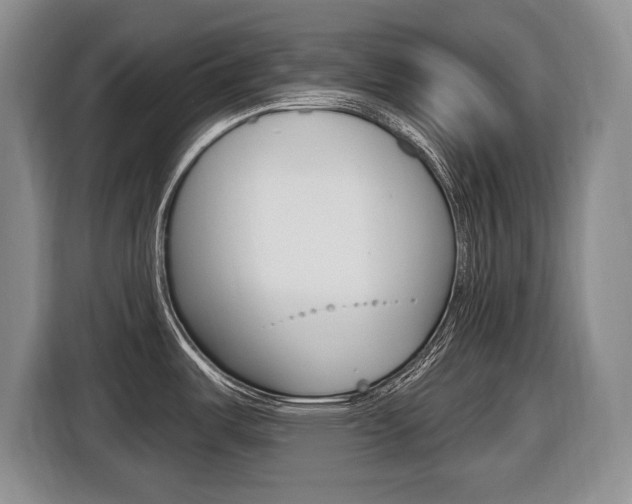 X0000116451487200912081403