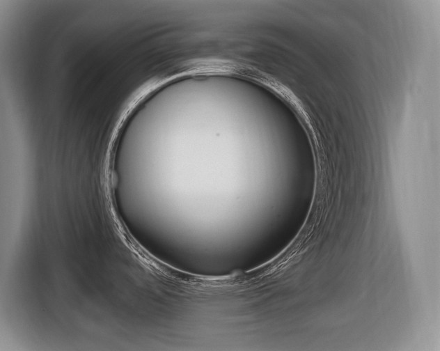 X0000116451488200912081403