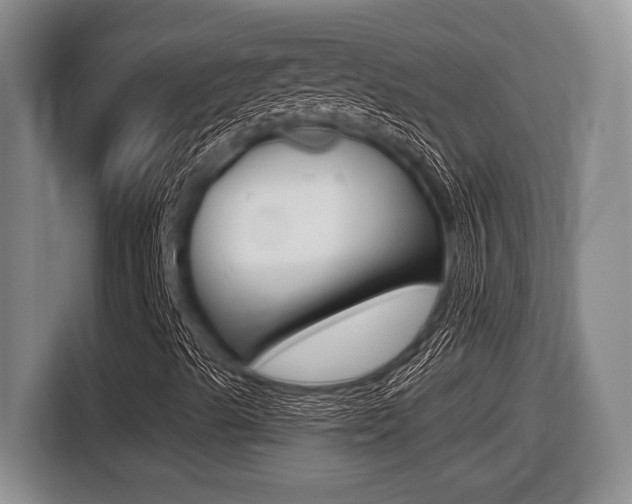 X0000116451489200912081402