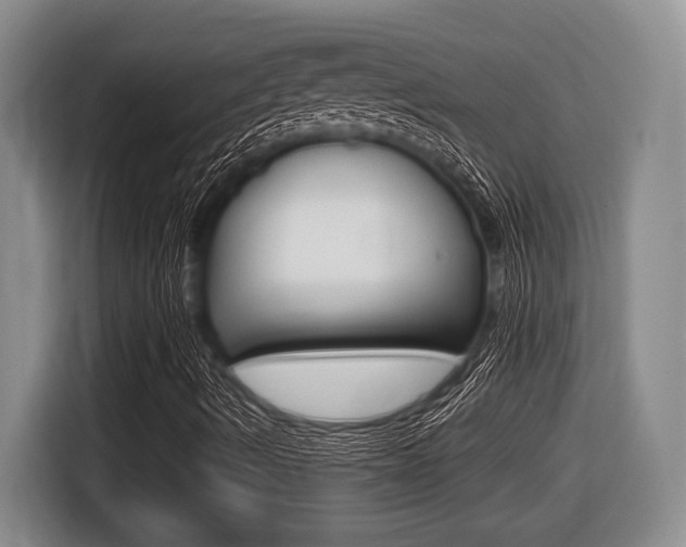 X0000116451490200912081402