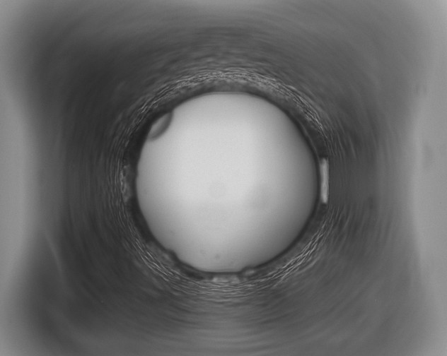 X0000116451491200912081402