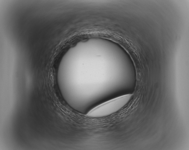 X0000116451493200912081402