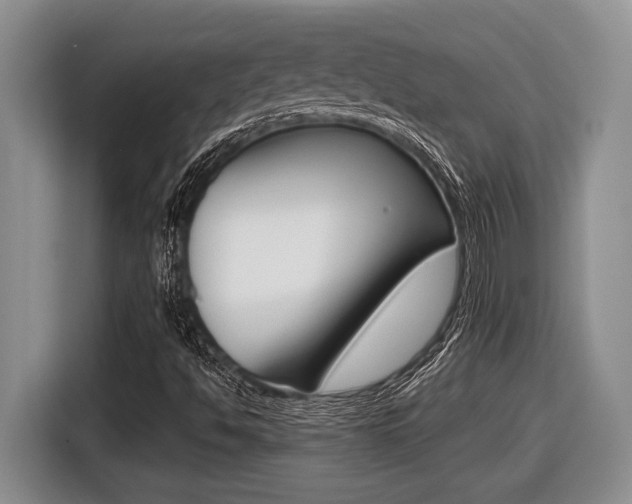 X0000116451494200912081402