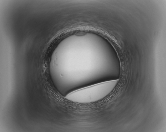 X0000116451495200912081402