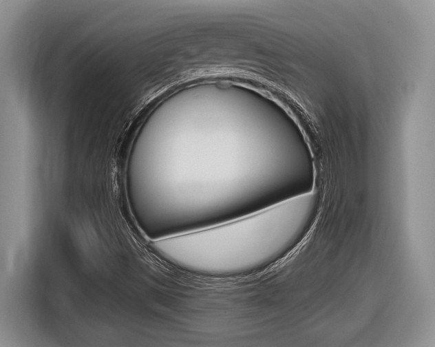 X0000116451497200912081402