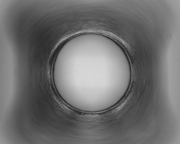 X0000116451498200912081402