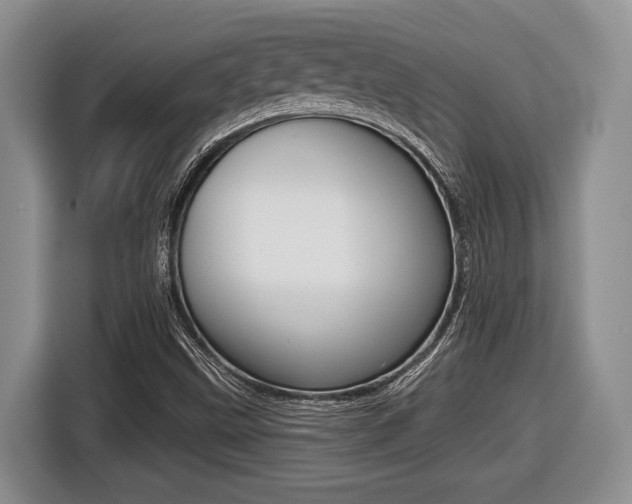 X0000116451499200912081402